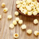 Yi Lian Tang lotus seed 500g cored white lotus seed Hunan Xiangtan bubble white lotus factory direct bulk dry goods wholesale