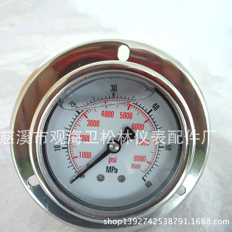 专业生产 专用注塑机耐震充油压力表 数字精密真空压力表批发