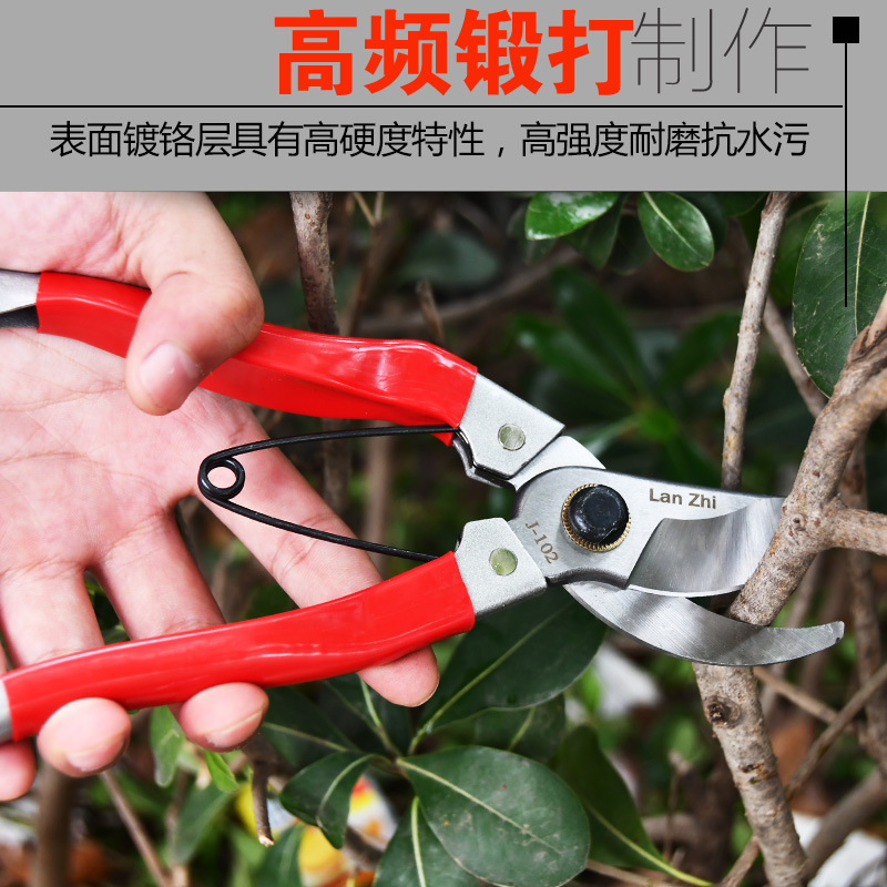 兰枝102手剪 果园苹果梨树枝修剪 粗枝剪 园艺工具 修枝剪刀