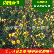 �������lͥԺ�G����Gֲ�����S��������n���ͺ����ܽ����������