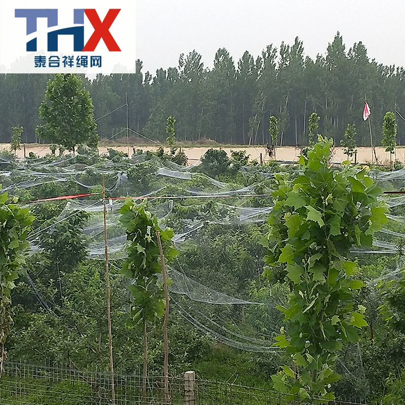 Hail-proof net white crescent-shaped apple orchard hail-proof net polyethylene UV insect-proof bird net crescent-shaped hail-proof net