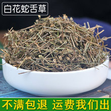白花蛇舌草 中药材 舌草  白花蛇舌草 大货批发 初级农产品