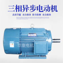 ���l����늙C���S늙CYE3-250M-6���ஐ��늙C11kw 늄�܇��늙C