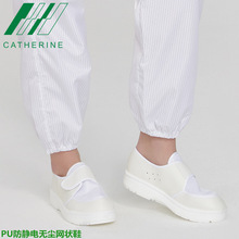 1688Դ�^���S���lPU���o�Ь������ă���