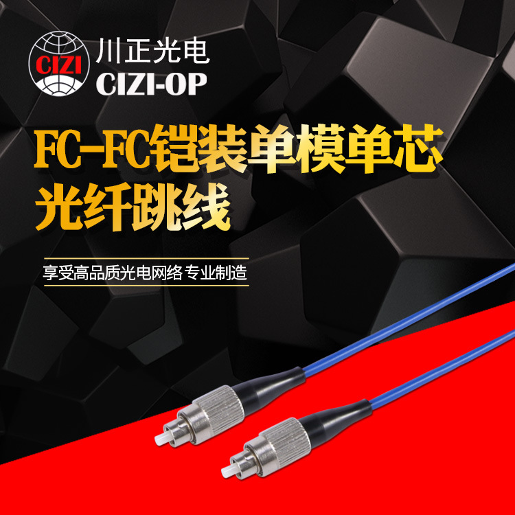 川正光电 铠装单模单芯光纤跳线FC-FC  防鼠咬铠装光纤线3米