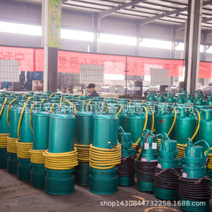 ������̩BQW�V�÷�����ˮ�����l�rBQS20-50-7.5/B