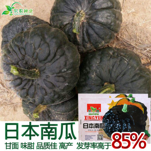 �Ϲ���߲˷N���������ձ��ϹϷN��ζ����