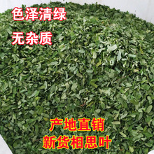 ��˼�~ ��؛�u�ǲݲ��u�ǲ��~��˼�~����˼�ٲ�a�����l