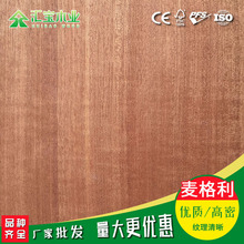 ֱNoӰľƤֱy0.5mmbľ ҾߵذNƤ