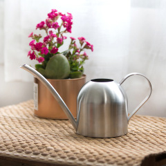 Stainless steel watering kettle gardening potted small watering kettle indoor succulent plant long mouth spray flower kettle 500ml
