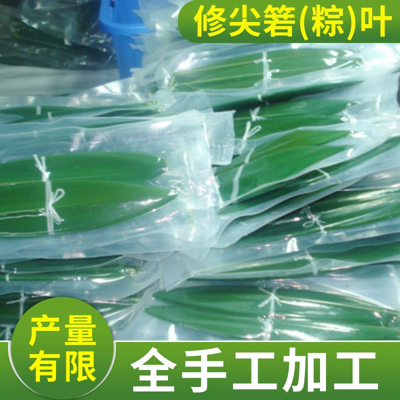 Вакуумная упаковка свежих zongye Остроконечные листья индокаламуса 30 пакетов оптом 21 см × 5 см Украшенные блюда поставка zongye