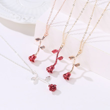 �羳�����������˽�õ�廨�������廨���׹������ ��Ů������