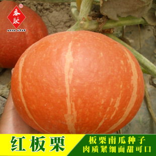 �����N�����l �t�����ϹϷN�� ��ͥ�̨ ����ɿ� �t���ϹϷN��5g