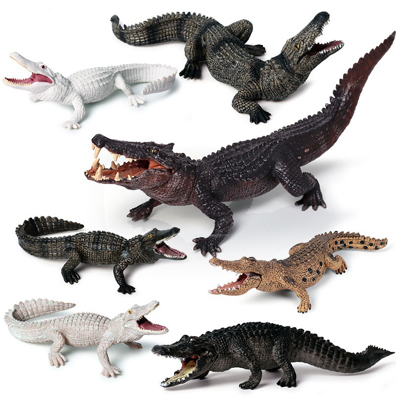 Children's Cognitive Solid Simulation Wild Amphibian Crocodile Model Wild Boar Alligator Nile Alligator Alligator Toy