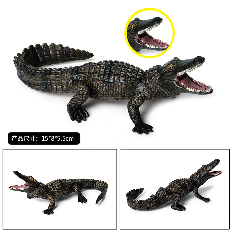 Children's Cognitive Solid Simulation Wild Amphibian Crocodile Model Wild Boar Alligator Nile Alligator Alligator Toy
