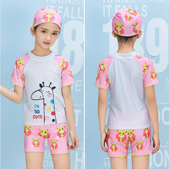 JH2801 Cartoon High-Elastic Children's Swimsuit Set for Boys and Girls