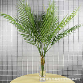 把束仿真铁树叶散尾叶仿真扇葵叶塑胶葵叶仿真植物绿植物摆件212