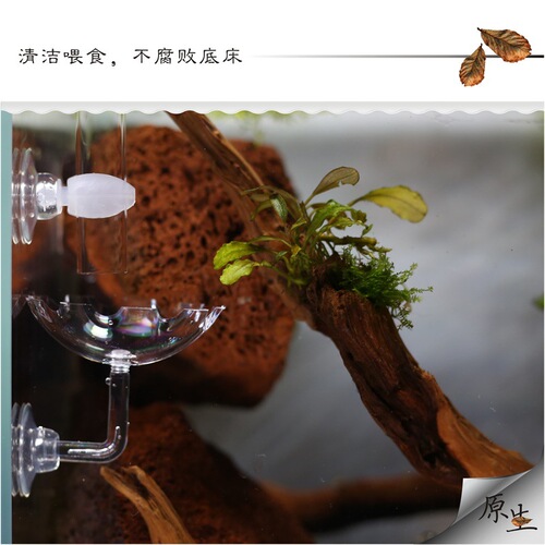 Pastoral Walking Feeding Tube, Fish Tank Feeding Tube, Shrimp Food Feeding Tube, Aquarium Feeder, Crystal Shrimp Basin