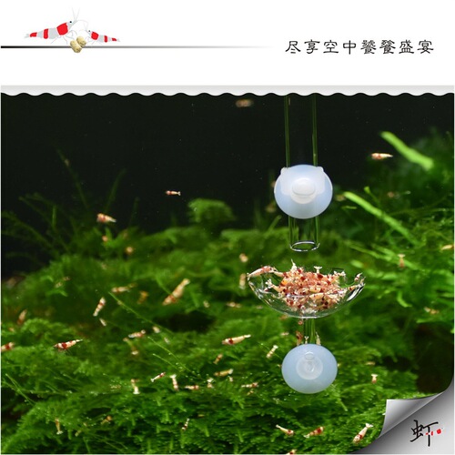 Pastoral Walking Feeding Tube, Fish Tank Feeding Tube, Shrimp Food Feeding Tube, Aquarium Feeder, Crystal Shrimp Basin
