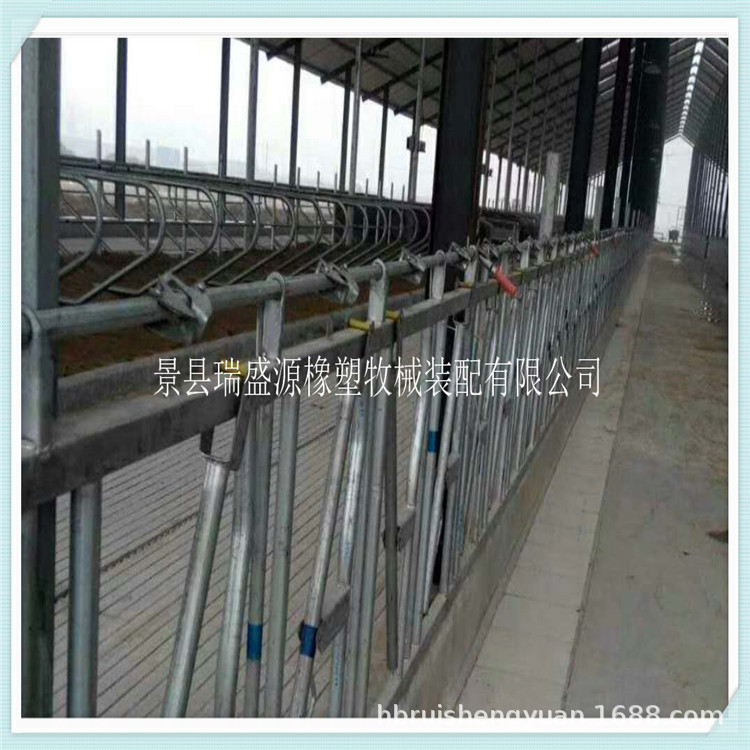 畜牧设备 挤奶厅配件 牛颈枷 牛场自锁式定位栏牛颈枷