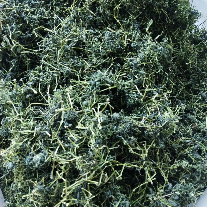 卸売り平利ウインチ青ばら積新品茶葉龍珠ウインチ青葉七葉龍ひげ苦ウインチ青顆粒|undefined