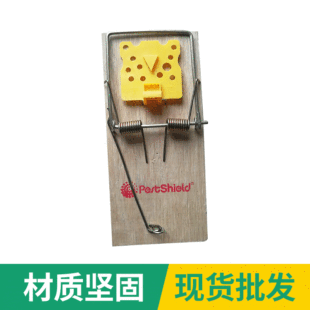 �S�����l�� ������AС̖��ȫ��������ľ�|����A������