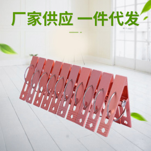 �S�����l ��߅����С�A�� �����X�Ͻ�ѝ�A ���¼܏����A