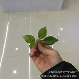 仿真植物仿真花叶配件 胶布梅花叶 人造花叶片 工艺品装饰布叶子