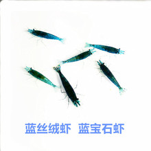 ���]�{�z�q�r���w�^�p�r�����r��ɫ���r�ݸ׳������������r��ֱ��