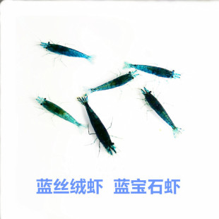 ���]�{�z�q�r���w�^�p�r�����r��ɫ���r�ݸ׳������������r��ֱ��