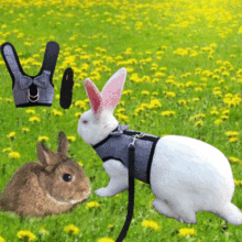 溜兔绳小宠牵引绳兔子专用背心式胸背带兔子绳狗绳子猫绳西服布料