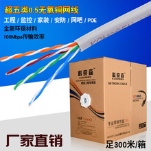 ���~����W��0.5�o���~cat5e�O��POE��늹��̾W�j�p�g��300����