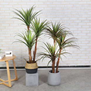 �¿��҃ȴ��;Gֲ���Կ͏d����辰�b����٘���Ѫ�F�z�m����