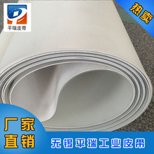 厂家直销 白色PVC 输送带 食品级平面输送传送带 江浙沪直发