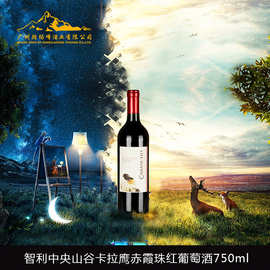 智利卡拉鹰品种级赤霞珠干红葡萄酒T-0600009 进口葡萄酒