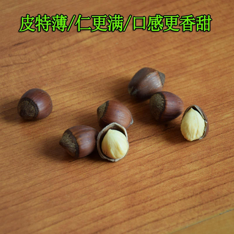 百世榛情 Northeast specialty new products without opening original flavor 500g dried fruit roasted nut wholesale jade pendant hazelnuts