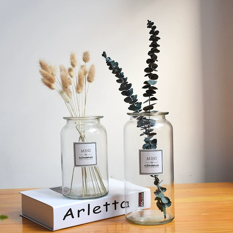 Оптовая продажа: креативная ваза для декора дома в стиле INS, современная минималистичная настольная ваза для цветов, гидропонных растений, большая прозрачная стеклянная ваза в стиле INS