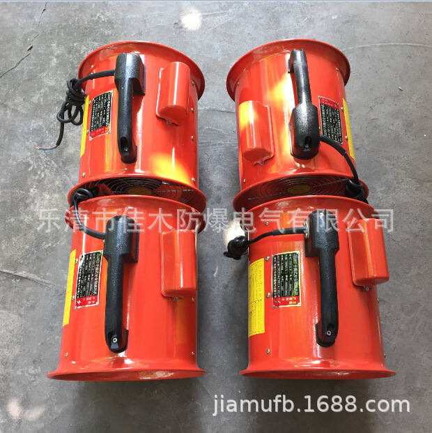 CTF-10寸-220V手提式船用轴流风机 便携式安全轴流风机