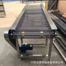 304不锈钢流水线网带输送机抗腐蚀耐高温网带烘干机送料机