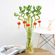 �D�\��Gֲ���F���_�\��������~����ˮ��ֲ���҃�������ؔ��