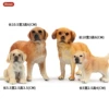 Solid golden thunder flexion hunter model (4 sets) [0.112kg]