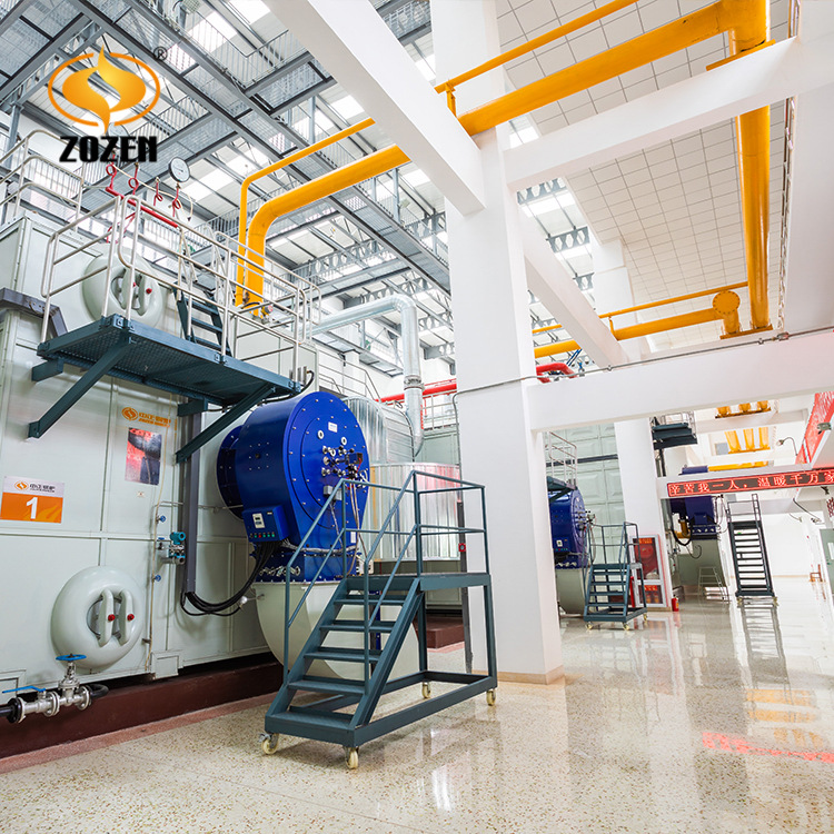 江苏厂家直供 燃气热水锅炉 沼气锅炉 燃气取暖炉用于供热行业