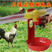 鸡用三通自动饮水器 钢球乳头式水嘴 软管用 球阀式鸡笼喂水设备