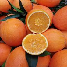 �����˲����w��ɽ�~�ɠ�Ě��Դ�^ֱ�����r��ˮ�����������֭�Fժ