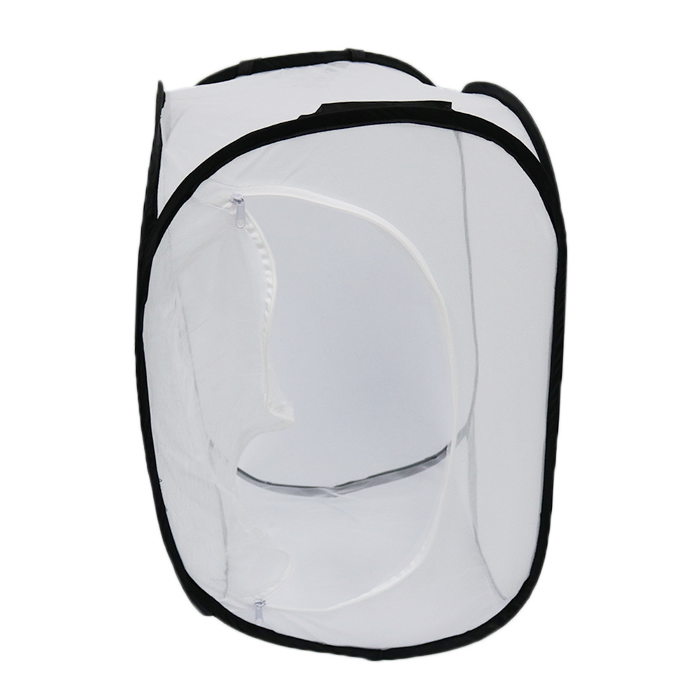 中号白网黑边小番茄种植箱 蝴蝶网笼 宠物孵化箱园艺透气育苗箱