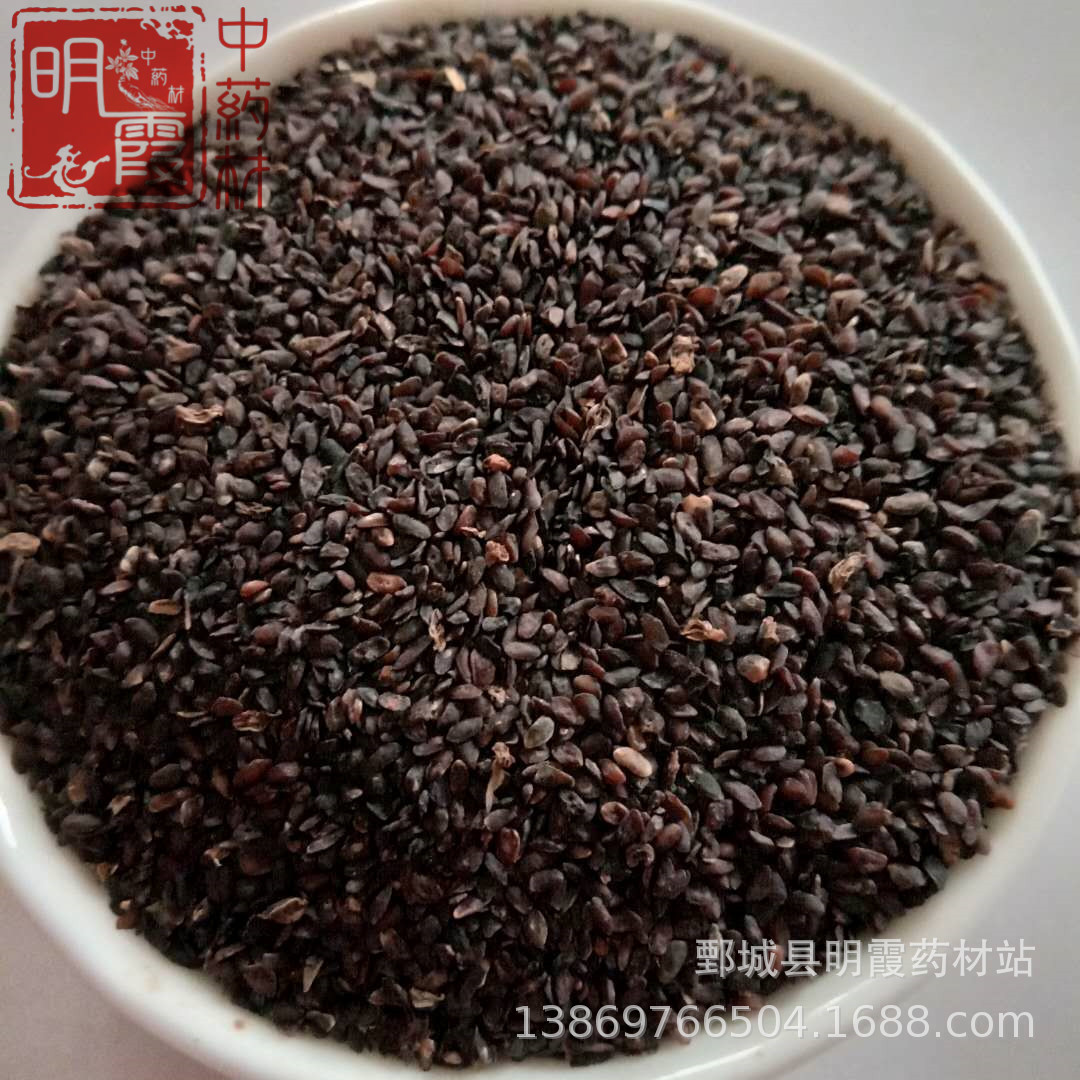 明霞药材 江西【车前子】1000克 批发零售供应中药材