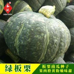 �����N�����l �G�����ϹϷN�� ؐؐ�Ϲ� ��ͥ�̨�����߲˷N��10g