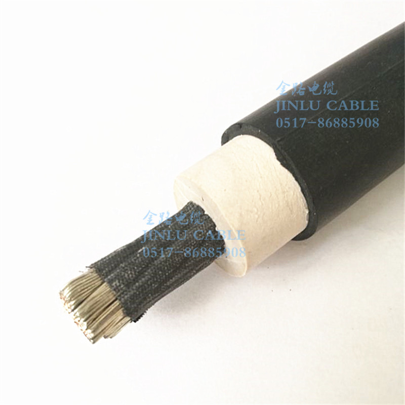 JEH-10KV50平方高压电机引接线专业生产厂家专业生产厂家