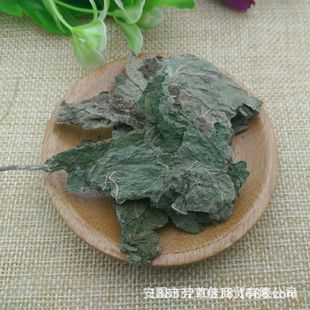 ���l�䱳��ș�������~ ���� ���� ���Ҙ� �����~