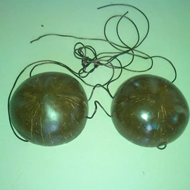 植物工艺品;储蓄罐;林业副产品